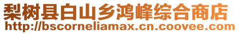 梨樹縣白山鄉鴻峰綜合商店