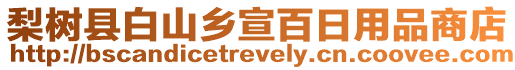 梨樹(shù)縣白山鄉(xiāng)宣百日用品商店