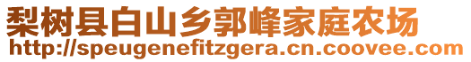 梨樹縣白山鄉(xiāng)郭峰家庭農(nóng)場