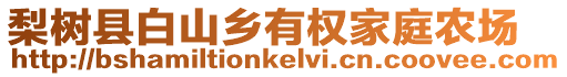 梨樹縣白山鄉有權家庭農場