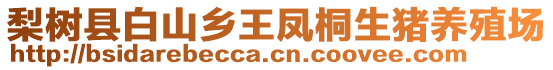梨樹縣白山鄉(xiāng)王鳳桐生豬養(yǎng)殖場