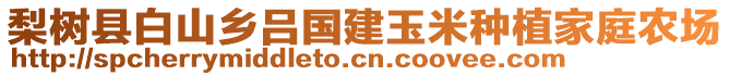 梨樹縣白山鄉呂國建玉米種植家庭農場