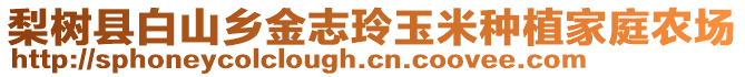 梨樹縣白山鄉(xiāng)金志玲玉米種植家庭農(nóng)場