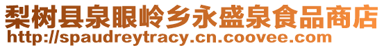 梨樹縣泉眼嶺鄉永盛泉食品商店