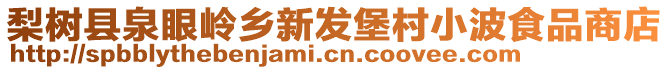 梨樹縣泉眼嶺鄉(xiāng)新發(fā)堡村小波食品商店