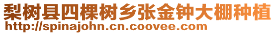 梨樹縣四棵樹鄉張金鐘大棚種植