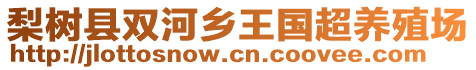 梨樹(shù)縣雙河鄉(xiāng)王國(guó)超養(yǎng)殖場(chǎng)