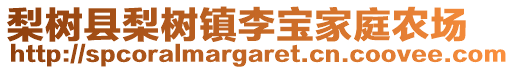 梨樹縣梨樹鎮(zhèn)李寶家庭農(nóng)場