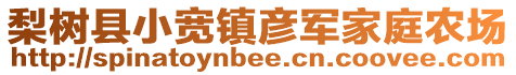 梨樹(shù)縣小寬鎮(zhèn)彥軍家庭農(nóng)場(chǎng)