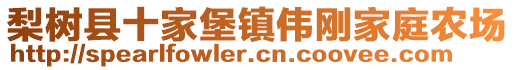 梨樹縣十家堡鎮(zhèn)偉剛家庭農(nóng)場