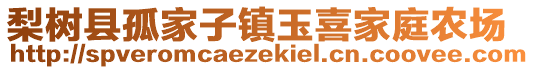 梨樹縣孤家子鎮(zhèn)玉喜家庭農(nóng)場(chǎng)