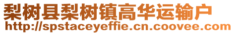 梨樹縣梨樹鎮高華運輸戶
