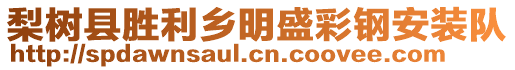 梨樹縣勝利鄉(xiāng)明盛彩鋼安裝隊