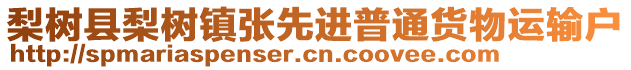 梨樹(shù)縣梨樹(shù)鎮(zhèn)張先進(jìn)普通貨物運(yùn)輸戶