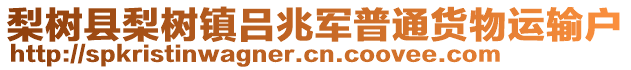 梨樹縣梨樹鎮呂兆軍普通貨物運輸戶