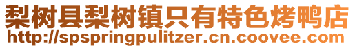 梨樹縣梨樹鎮(zhèn)只有特色烤鴨店