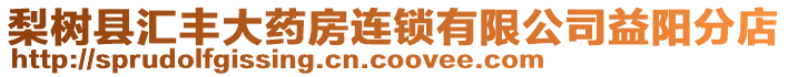 梨樹縣匯豐大藥房連鎖有限公司益陽分店