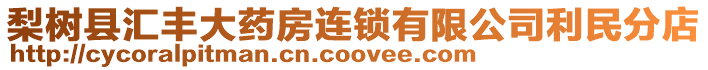 梨樹縣匯豐大藥房連鎖有限公司利民分店