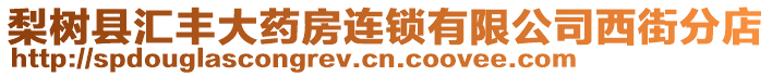 梨樹縣匯豐大藥房連鎖有限公司西街分店