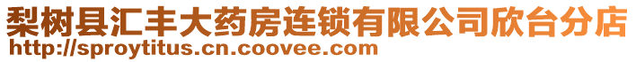 梨樹縣匯豐大藥房連鎖有限公司欣臺分店