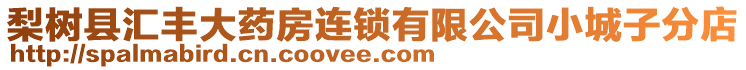 梨樹縣匯豐大藥房連鎖有限公司小城子分店