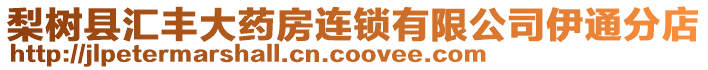 梨樹縣匯豐大藥房連鎖有限公司伊通分店