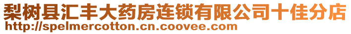 梨樹縣匯豐大藥房連鎖有限公司十佳分店