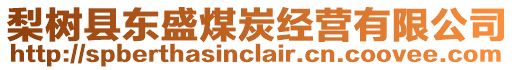 梨樹縣東盛煤炭經(jīng)營有限公司