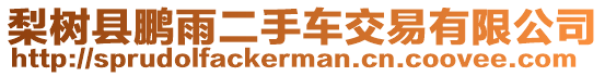 梨樹縣鵬雨二手車交易有限公司