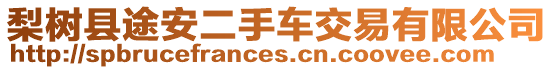 梨樹縣途安二手車交易有限公司