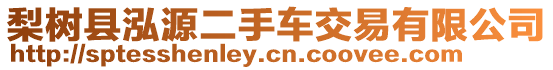 梨樹縣泓源二手車交易有限公司