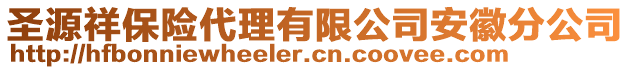 圣源祥保險代理有限公司安徽分公司