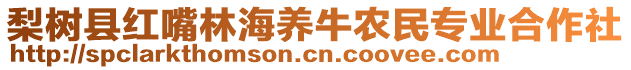 梨樹(shù)縣紅嘴林海養(yǎng)牛農(nóng)民專業(yè)合作社