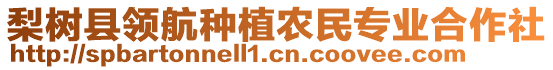 梨樹縣領航種植農(nóng)民專業(yè)合作社