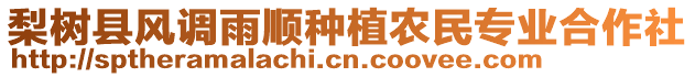 梨樹縣風(fēng)調(diào)雨順種植農(nóng)民專業(yè)合作社