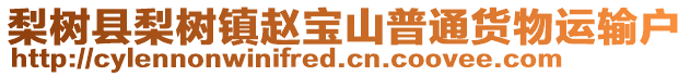 梨樹縣梨樹鎮(zhèn)趙寶山普通貨物運輸戶