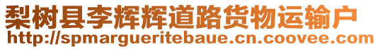 梨樹縣李輝輝道路貨物運輸戶