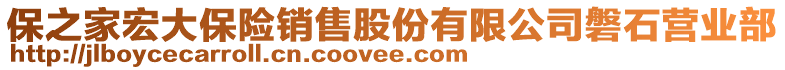 保之家宏大保险销售股份有限公司磐石营业部