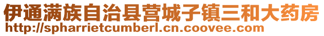 伊通滿族自治縣營城子鎮三和大藥房