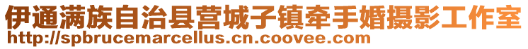 伊通滿族自治縣營城子鎮(zhèn)牽手婚攝影工作室