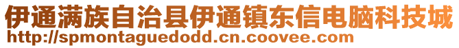 伊通滿族自治縣伊通鎮(zhèn)東信電腦科技城