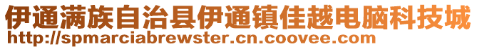 伊通滿族自治縣伊通鎮(zhèn)佳越電腦科技城