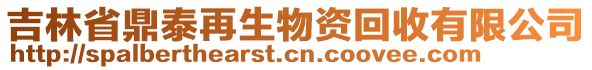 吉林省鼎泰再生物資回收有限公司