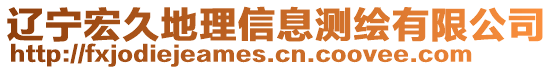 遼寧宏久地理信息測繪有限公司