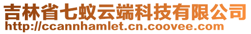 吉林省七蟻云端科技有限公司