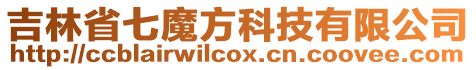 吉林省七魔方科技有限公司