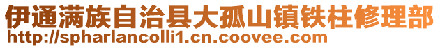 伊通满族自治县大孤山镇铁柱修理部