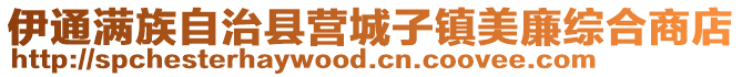 伊通满族自治县营城子镇美廉综合商店