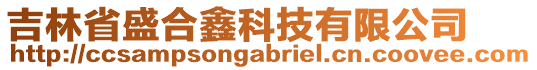 吉林省盛合鑫科技有限公司