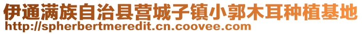 伊通满族自治县营城子镇小郭木耳种植基地